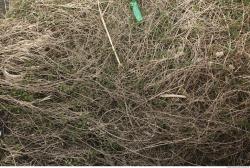 Photo Textures of Nature